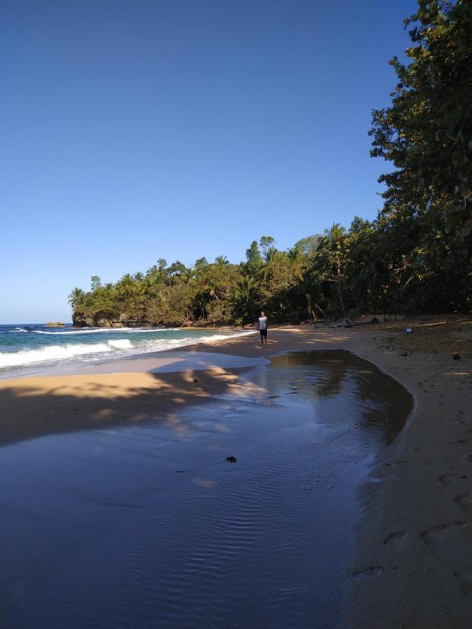 La Luciernaga Big Creek Bed & Breakfast Bocas Town Bagian luar foto