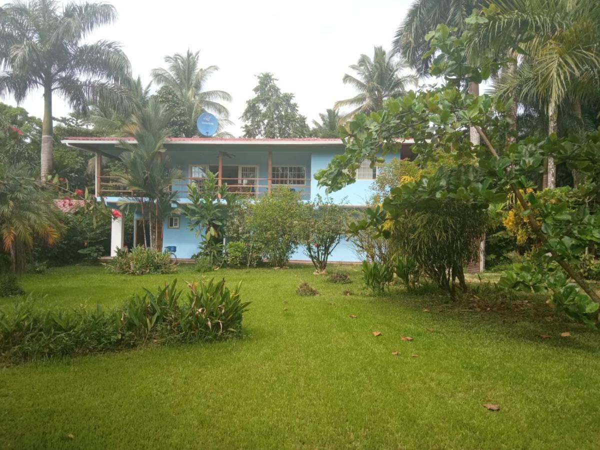 La Luciernaga Big Creek Bed & Breakfast Bocas Town Bagian luar foto