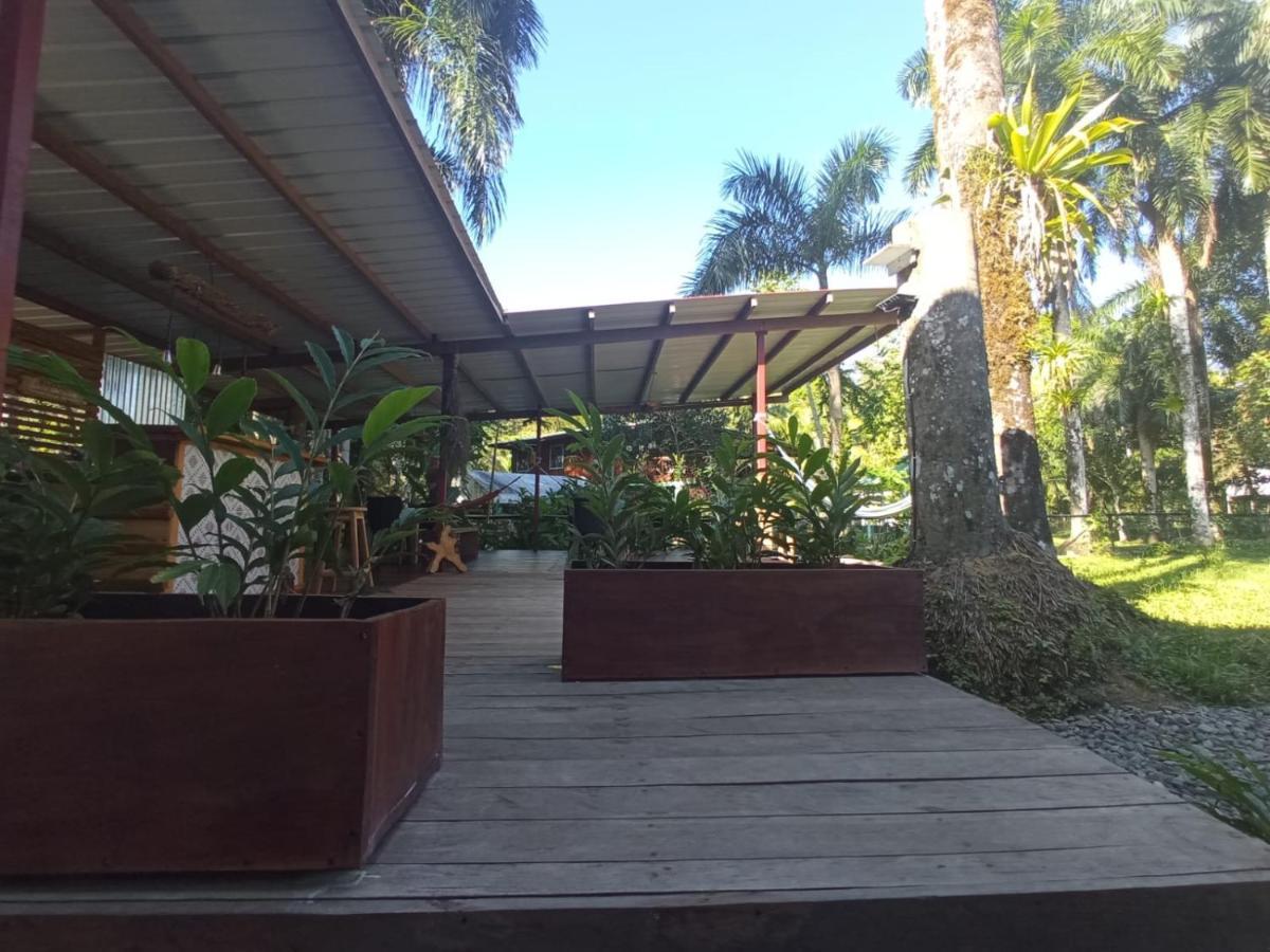 La Luciernaga Big Creek Bed & Breakfast Bocas Town Bagian luar foto