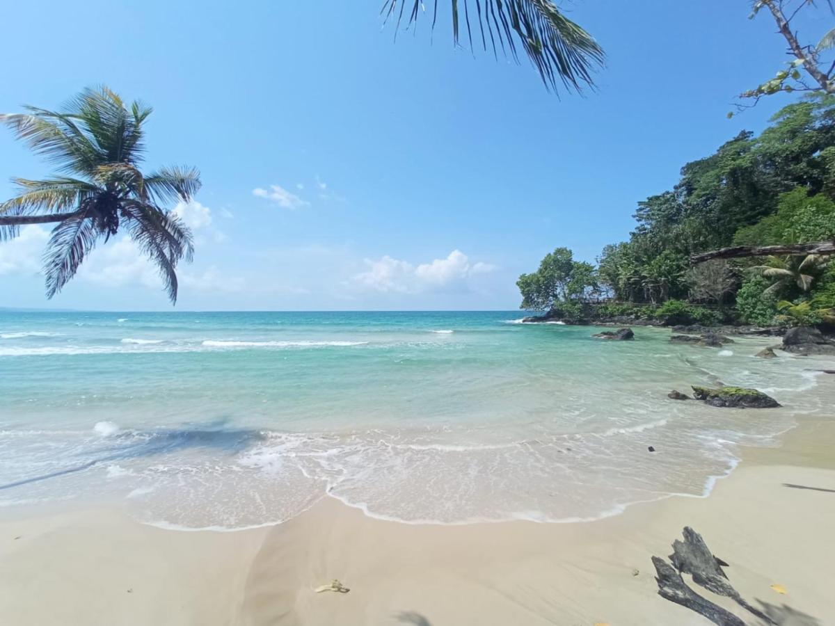 La Luciernaga Big Creek Bed & Breakfast Bocas Town Bagian luar foto